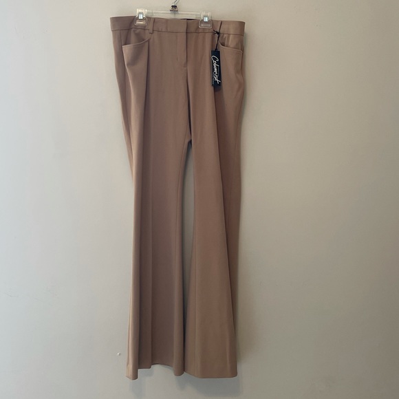 Express Columnist  Extreme flare tan pants 12/L - Picture 4 of 11